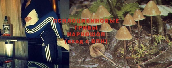 ГАЛЛЮЦИНОГЕННЫЕ ГРИБЫ Армянск