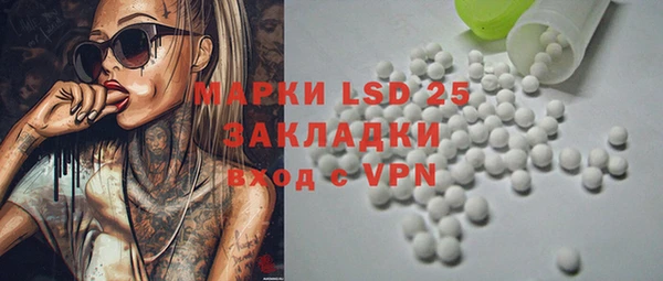 дживик Осташков