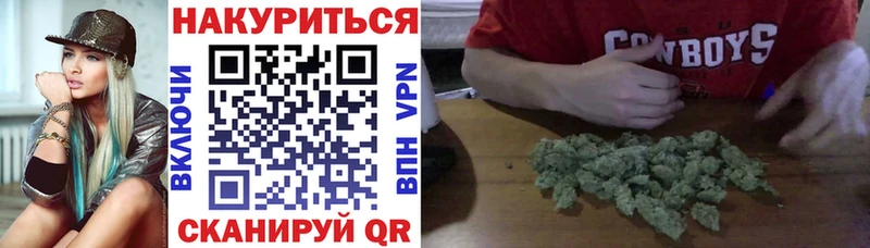 площадка наркотические препараты  Холмск  Бошки Шишки Amnesia 